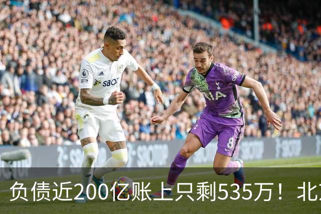 负债近200亿账上只剩535万！北京总部被打包拍卖
