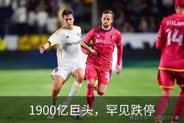 1900亿巨头，罕见跌停